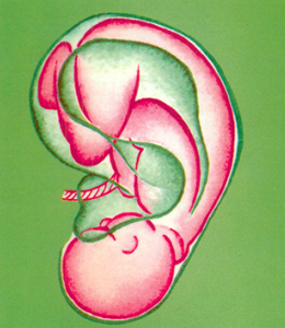 Histoire de l’auriculothérapie